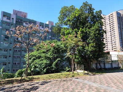 校園一方原為科學樓地方圖片